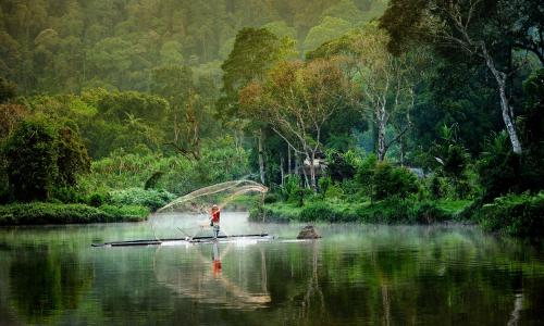 A man on a boat in a river surrounded by lush green forest, casting a large fishing net.