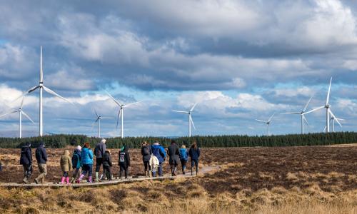 People walking on a boardwalk with trees and wind turbines in front of them.