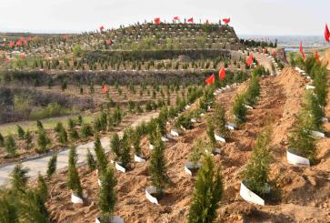 Trees on barren mountains in China’s Hebei province
