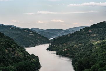 The Douro River valley.