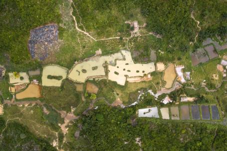 Aerial view of farm plots and fish ponds interspersed with forested areas.